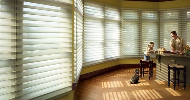 シルエットシェート゛